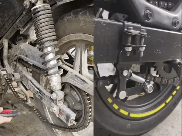 Matcha Vitalidad Natural