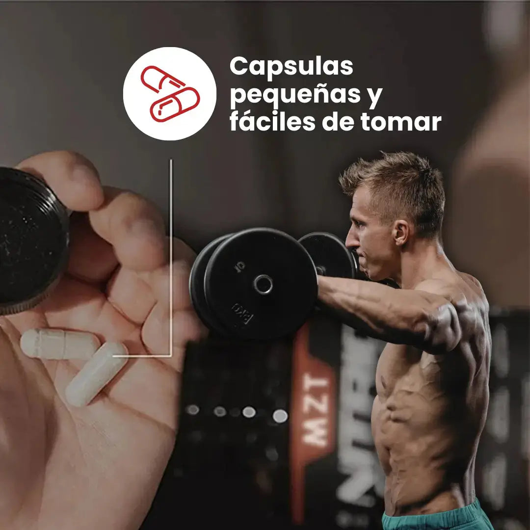Encabezado