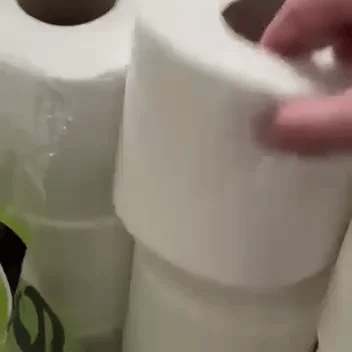 Matcha Vitalidad Natural